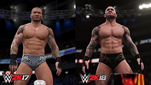 WWE 2K18 - Xbox One [Importación inglesa]