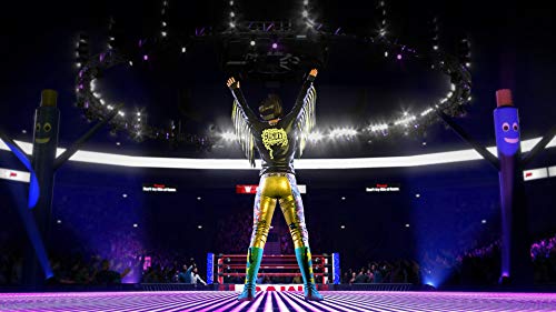 WWE 2K20 Deluxe PS4 [Importación inglesa]