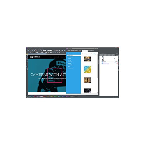 Xara Web Designer 12 Standard [Importación Inglesa]