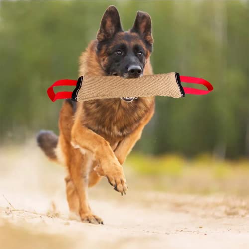 XDXDO 3 Piezas Tug Perro Dog Toy, Tug of War & Training & Interactive Play JUEJO JUEJO JUEJO JUEJO JUEJO Dog Toy para TIR DE Guerra, Fetch, K9, Entrenamiento de Cachorros e Play interactiva