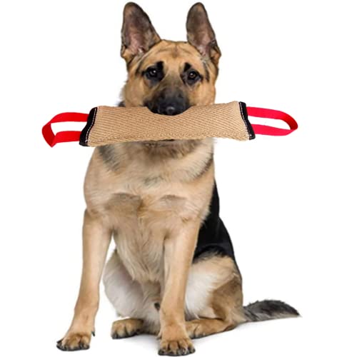 XDXDO 3 Piezas Tug Perro Dog Toy, Tug of War & Training & Interactive Play JUEJO JUEJO JUEJO JUEJO JUEJO Dog Toy para TIR DE Guerra, Fetch, K9, Entrenamiento de Cachorros e Play interactiva