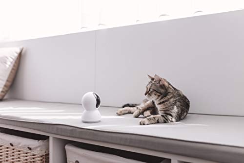 Xiaomi Mi Home Security Camera 360° Cámara de Seguridad IP Interior Bombilla Blanco - Cámara de vigilancia (Cámara de Seguridad IP, Interior, Bombilla, Blanco, Ceiling/Wall/Desk, 720p)