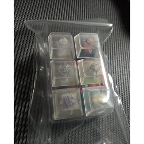 xllLU 6 teclas SP STAR Switch Tester Switch Switch Shaft Sampler con a prueba de polvo acrílico en blanco Base Teclas para teclado mecánico sp star swtiches