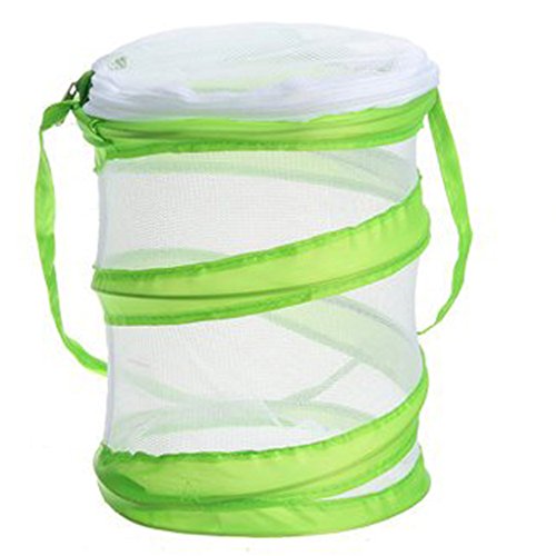 Yeelan Butterfly Habitat Collapsible Bug Catcher Net Mesh Insectos Jaula de Plantas Terrario Pop-up para niños Atrapar grillos/Luciérnaga/Orugas/Mariquita/Pez (Cilíndrico pequeño, 14x15cm)