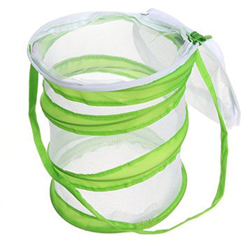 Yeelan Butterfly Habitat Collapsible Bug Catcher Net Mesh Insectos Jaula de Plantas Terrario Pop-up para niños Atrapar grillos/Luciérnaga/Orugas/Mariquita/Pez (Cilíndrico pequeño, 14x15cm)