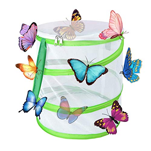 Yeelan Butterfly Habitat Collapsible Bug Catcher Net Mesh Insectos Jaula de Plantas Terrario Pop-up para niños Atrapar grillos/Luciérnaga/Orugas/Mariquita/Pez (Cilíndrico pequeño, 14x15cm)