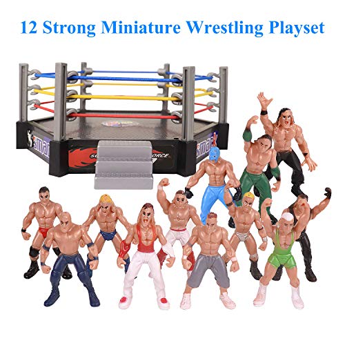 YIJIAOYUN Wrestling Figuren, Wrestling-Spielset enthält 1 Ring, 12 Miniatur-Action-Wrestling-Spieler und mehrere realistische Accessoires für Kinder