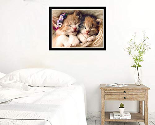 Zariocy Kit de pintura de diamante redondo con diseño de flores y animales, 5D para gatos durmiendo con diamantes de imitación, para decoración de pared del hogar, 30 x 40 cm