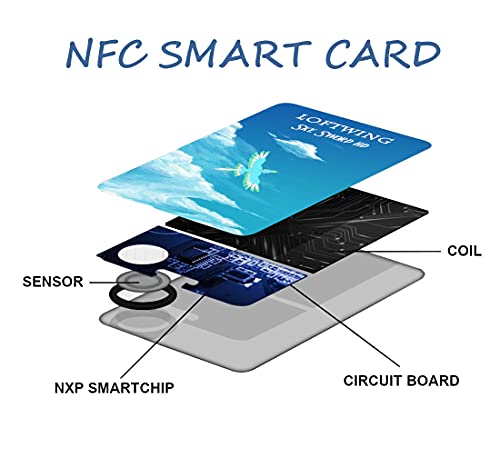 Zelda y Pelícaro Tarjeta NFC Zelda Skyward Sword HD en Switch