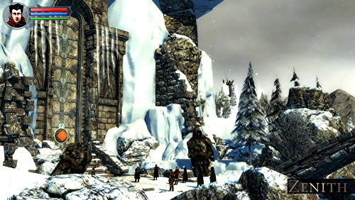 Zenith [Importación Francesa]