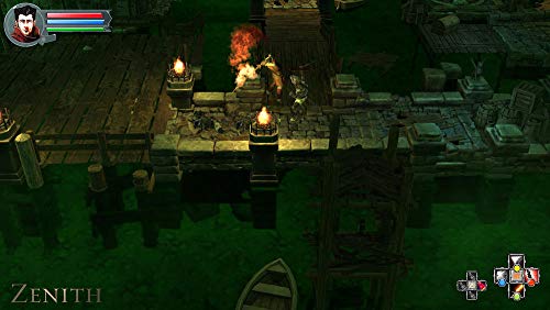 Zenith [Importación Francesa]