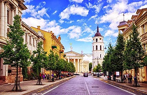 ZZHXSYH Paisaje De Vilnius Lituania 1000 Piezas Wooden Jigsaw Puzzles Aliviar Estrés Juego Art Painting Puzzle DIY Decoraciones para Elhogar Decoración