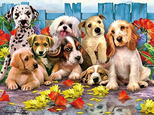 1000 piezas de rompecabezas para adultos, aviones de animales, bloques para adultos, juguetes de educación temprana para niños, rompecabezas educativos A.6 200pcs