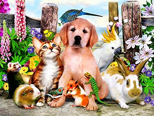 1000 piezas de rompecabezas para adultos, aviones de animales, bloques para adultos, juguetes de educación temprana para niños, rompecabezas educativos A.6 200pcs