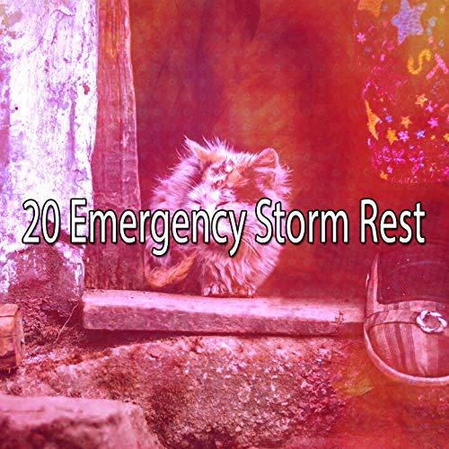 20 Emergency Storm Rest