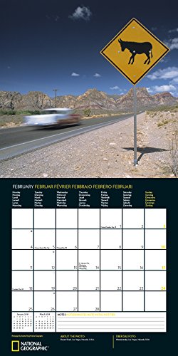 2019 Nat Geo Road Trip USA 30x30 Grid Ca