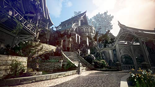 （2020年冬発売予定）Black Desert(黒い砂漠) プレステージ エディション - PS4