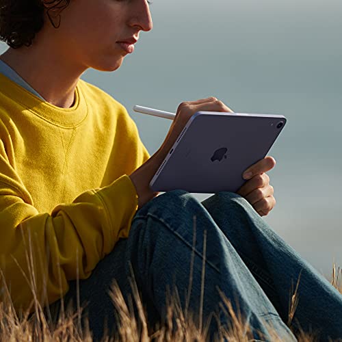 2021 Apple iPad mini (de 8,3 pulgadas con Wi-Fi, 64 GB) - Rosa (6.ª generación)