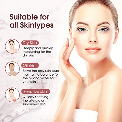 4 Piezas Rociador Facial Nano Mini Vaporizador Facial Mini Rociador de Niebla Práctico Pulverizador de Niebla Facial Atomizador Nano Facial USB Recargable para Maquillaje Diario