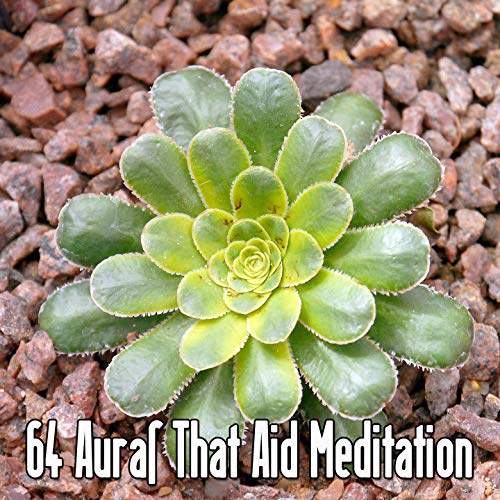64 Auras That Aid Meditation