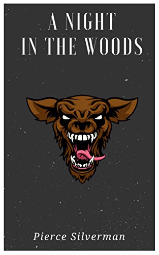 A Night In The Woods (English Edition)