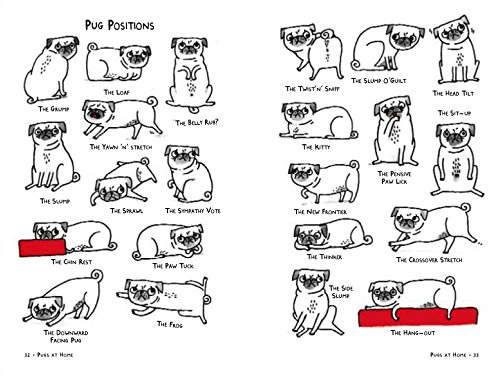 A Pug's Guide to Etiquette