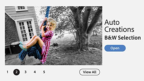 Adobe Photoshop Elements 2021 - Caja de 1 Usuario (Win, Mac - International English)