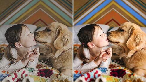 Adobe Photoshop Elements 2021 - Caja de 1 Usuario (Win, Mac - International English)