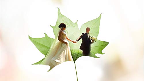 Adobe Photoshop Elements 2021 & Premiere Elements 2021 - Pack de Carcasas (actualización) - 1 Usuario - Win, Mac - International English