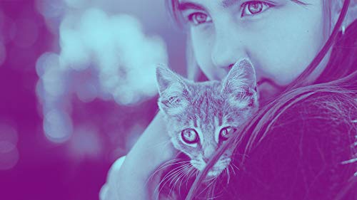 Adobe Photoshop Elements 2021 & Premiere Elements 2021 - Pack de Carcasas (actualización) - 1 Usuario - Win, Mac - International English