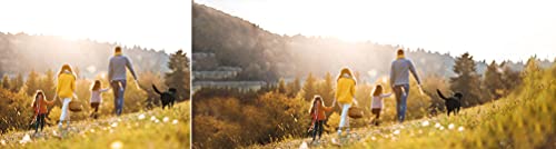 Adobe Photoshop Elements 2022 & Premiere Elements 2022 1 Dispositivo 1 Usuario Código de activación Mac enviado por email