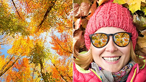 Adobe Photoshop Elements 2022 & Premiere Elements 2022 1 Dispositivo 1 Usuario Código de activación Mac enviado por email