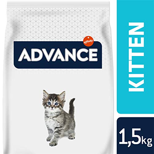 Advance Kitten pienso para gatos cachorros con pollo y arroz 1,5 kg