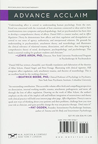 Affect Regulation Theory: A Clinical Model: 0 (Norton Series on Interpersonal Neurobiology)