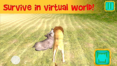 African Lion Simulator 3D | African Hunting Jungle Adventure Survival Evolution Lion Simulator 3D