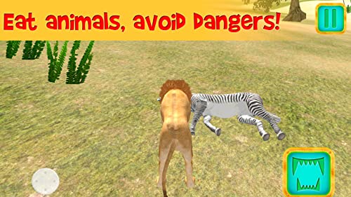 African Lion Simulator 3D | African Hunting Jungle Adventure Survival Evolution Lion Simulator 3D
