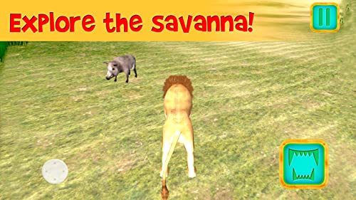 African Lion Simulator 3D | African Hunting Jungle Adventure Survival Evolution Lion Simulator 3D