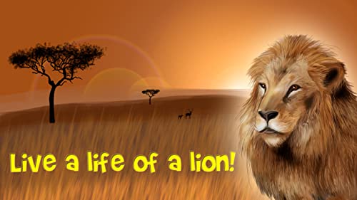 African Lion Simulator 3D | African Hunting Jungle Adventure Survival Evolution Lion Simulator 3D