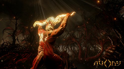 Agony for PlayStation 4 [USA]