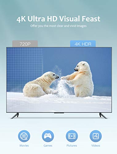 AGPTEK Wireless Display Dongle 4K, Adaptador HDMI inalámbrico WiFi Display Receiver Compatible con Android/iOS/PC/TV/Monitor/Proyector, Miracast Airplay DLNA Chrome