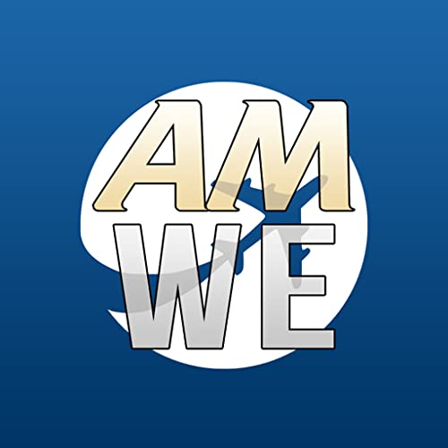 Airport Madness World Edition