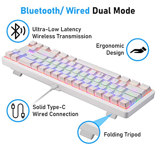 AK68 Teclado mecánico para Juegos 60% de Modo Dual, inalámbrico/cableado, Recargable, actualizado, Compacto, 68 Teclas, Teclas Anti-Fantasma con retroiluminación LED Tipo C(Interruptor Blanco/Azul)