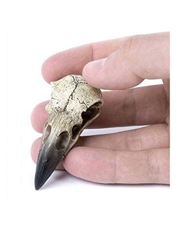 Alchemy Gothic Relicario Cuervo Calavera Blanco