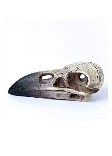 Alchemy Gothic Relicario Cuervo Calavera Blanco