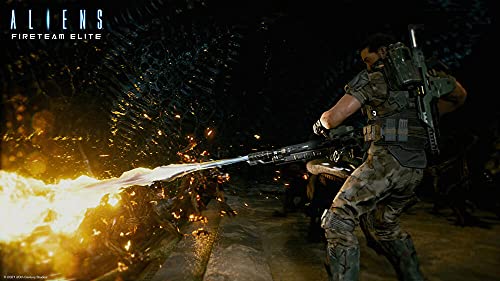 Aliens: Equipo DE Fuego Elite PS5 VF