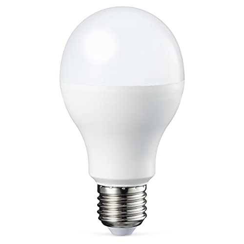 Amazon Basics - Bombilla rosca Edison LED Profesional E27, equivalente a 100 W, blanco frío, no regulable, paquete de 6