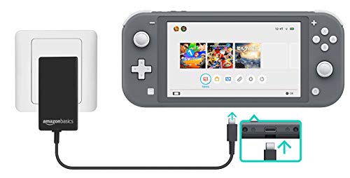 Amazon Basics - Cargador CA de doble voltaje, para Nintendo Switch (compatible con modo TV), negro