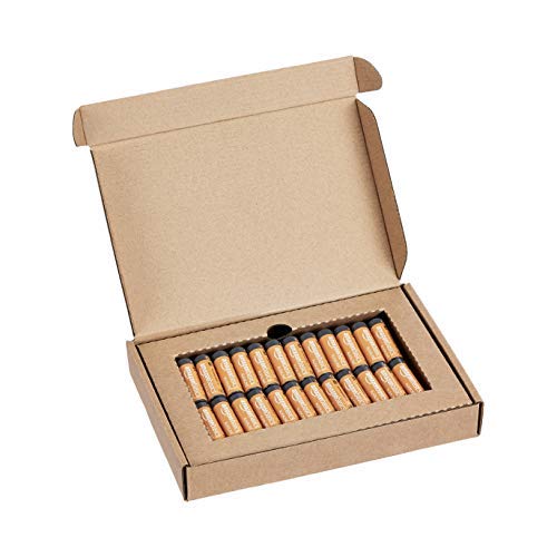 Amazon Basics - Pilas alcalinas AA de 1,5 voltios, gama Performance, paquete de 48 (el aspecto puede variar)