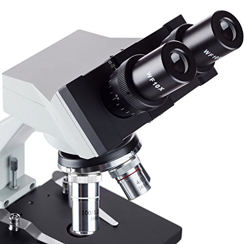 AmScope B100B-MS 40X-2000X Microscopio binocular biol-gico con platina mec-nica