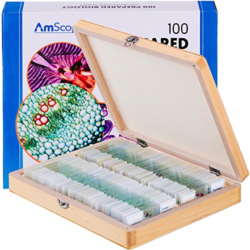 AmScope PS100E 100 Diapositivas de microscopio Preparado para la biología en casa - Set E